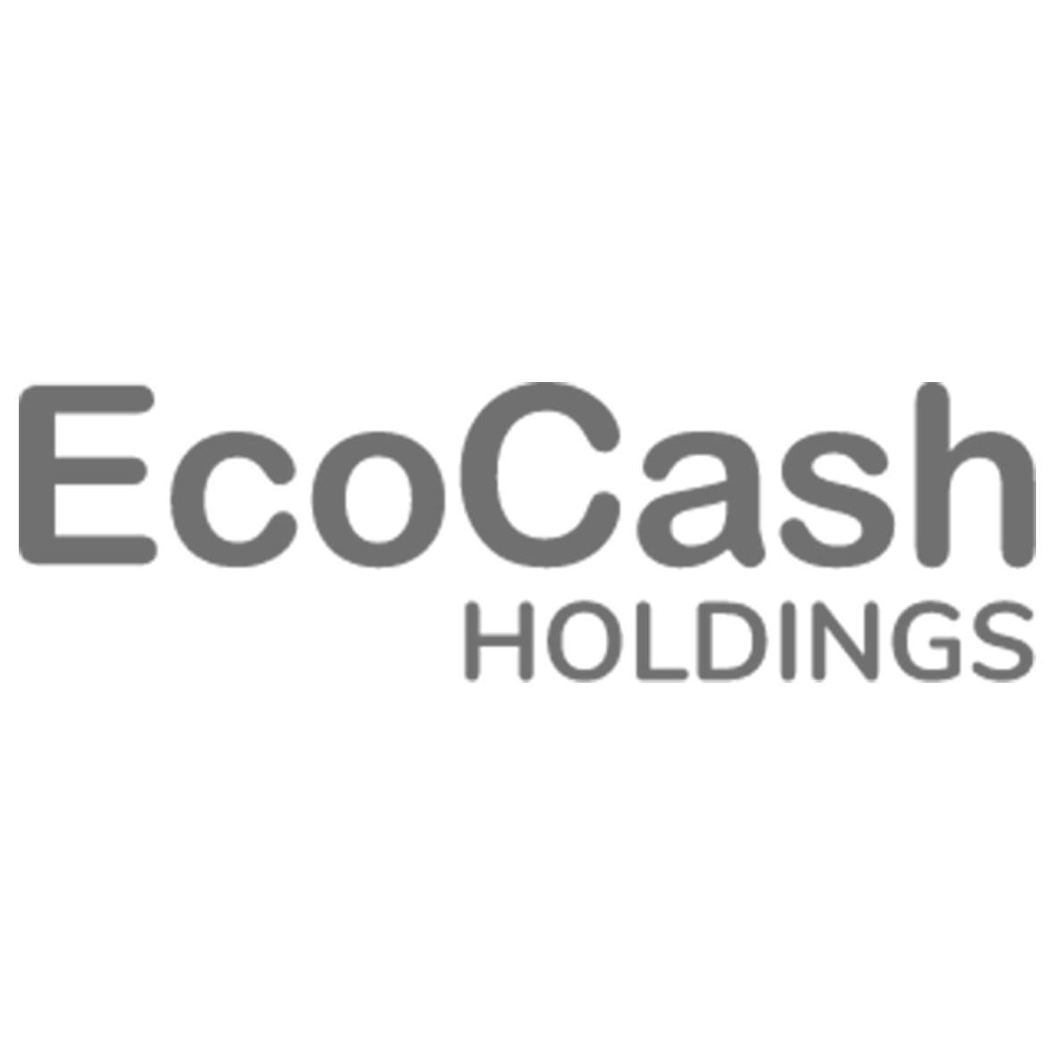 ecocash holdings