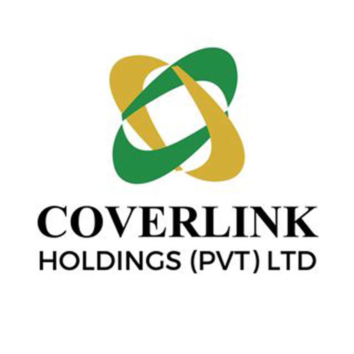 coverlink holdings team builing with noahs ark