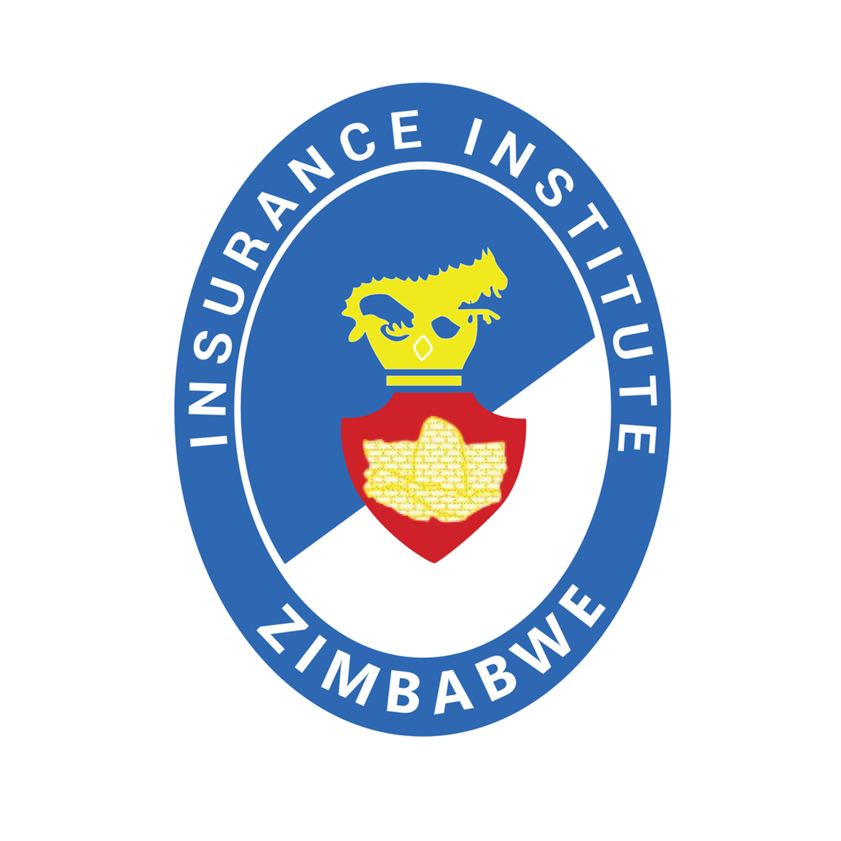 insuarance Institute Zimbabwe-Team building