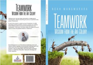 teamwork wisdom from the ant colony noah mangwarara books author