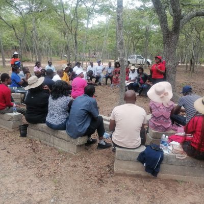 Couples Team Building Services Retreats Noah's Ark 5